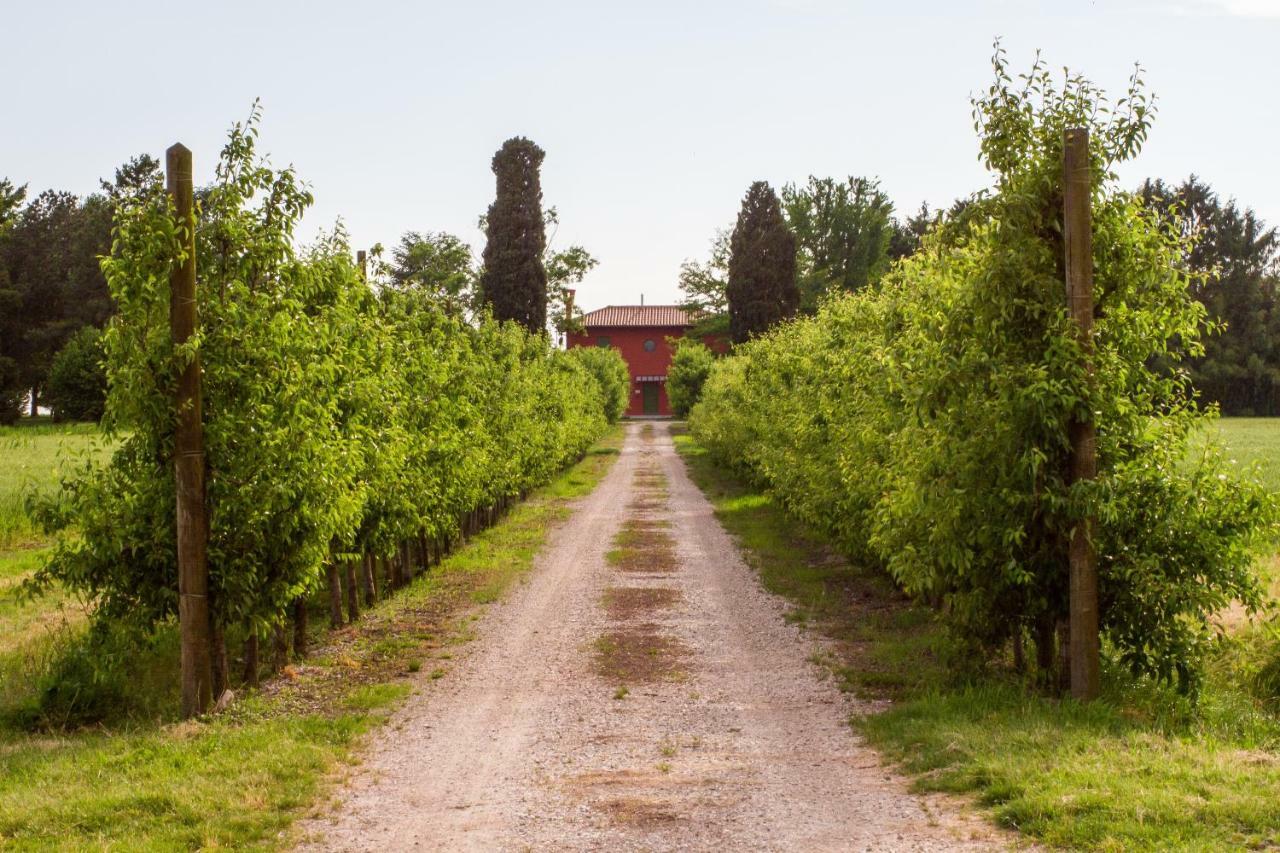 La Centuria Societa Agricola Casa Vacanze Terzo d' Aquileia Exterior photo